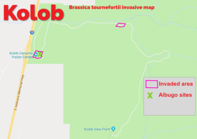 Kolob Invasives Map