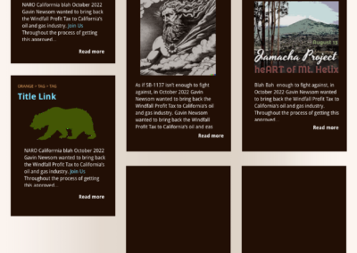 NARO website design with California landscape header in dark brown and blue masonry blog